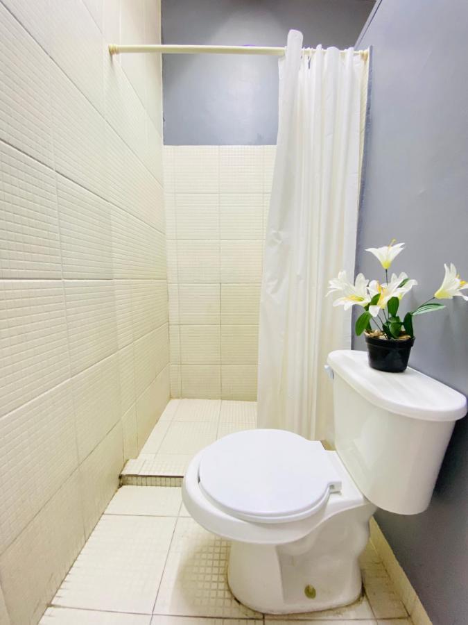 Alto Hostel Mexico City Luaran gambar